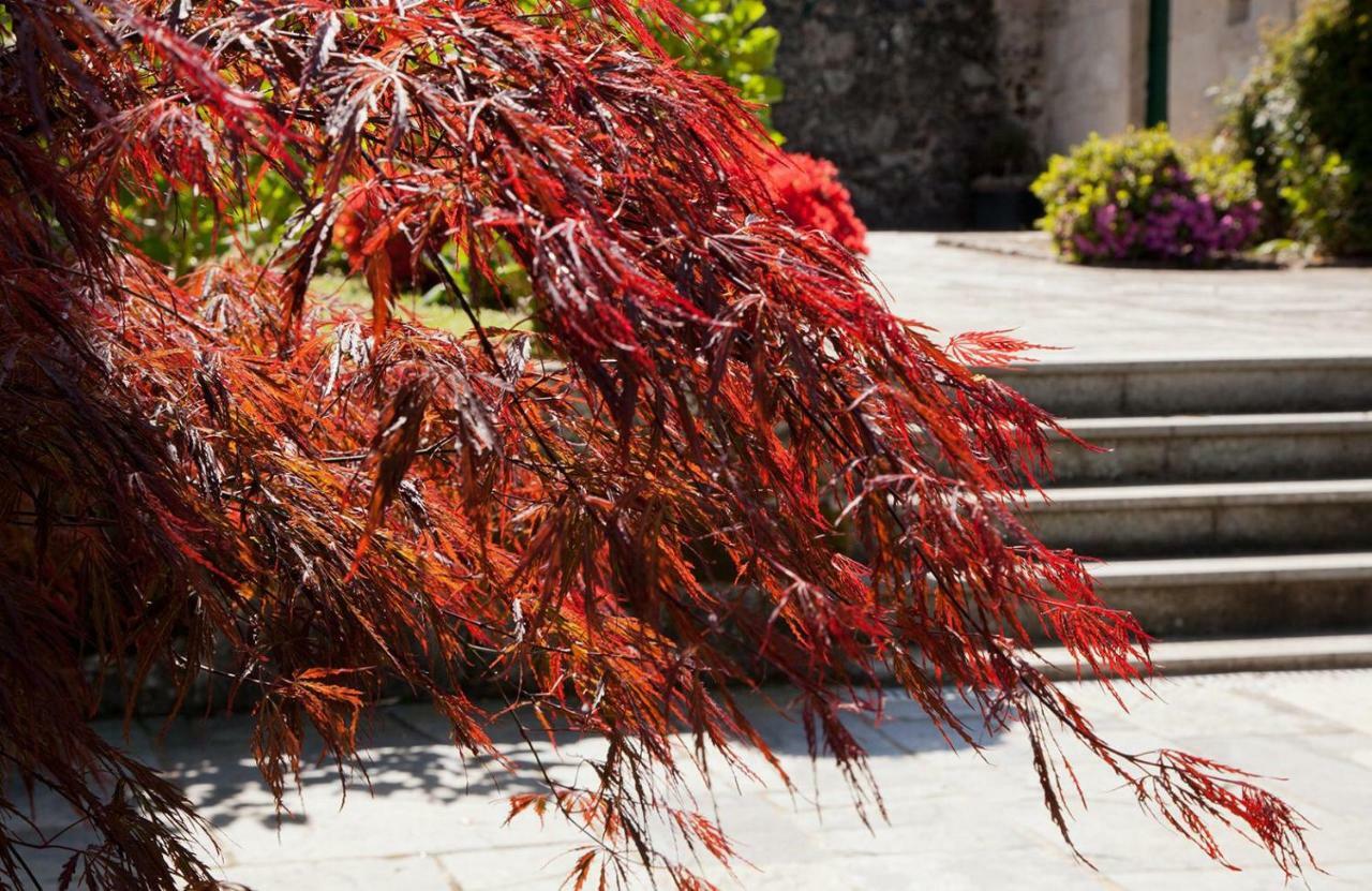 Jardines Pazo a Fabrica Guest House Celanova Exterior foto