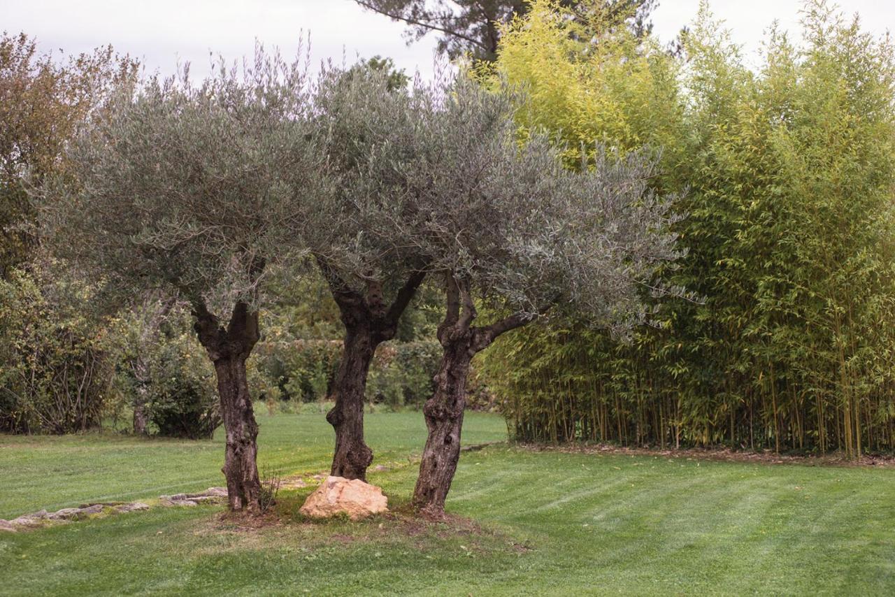 Jardines Pazo a Fabrica Guest House Celanova Exterior foto